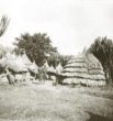 Vesnice kmene Kumam (Teso) chýše se slaměnou střechou až na zem, sýpky