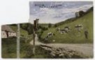 Čížkovské údolí v osadě Mýtinka a cesta na Rejvíz (kolorovaná pohlednice)