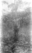 Stojící muž s lukem a šípy v pralese, Bambuti