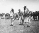 Tuaregové s velbloudy