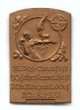 Odznak upomínkový - 16. krajská tělocvičná slavnost - Slavnost 50. výročí založení Německého tělocvičného spolku v Nových Pavlovicích 20. 8. 1933