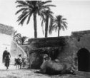 Velbloud ležící před vstupem do venkovského domu, oáza M´šíja u Tripolisu