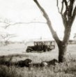 Auto výpravy knížete Schwarzenberga projíždí kolem lvů,  odpočívajících pod stromem