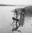Skupina chlapců ve vodě, Kikujové
