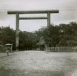 Brána torii u svatyně Jasukuni v Tokiu