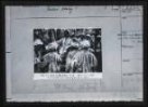 Fotografie, Agitátor v Buchaře rozdává Muslimům bolševické letáky