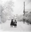 Skleněný stereonegativ: zasněžená ulice v Supíkovicích (1906)