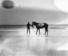 Muž s koněm v mělké vodě u břehu moře