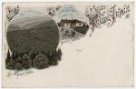 Františkova myslivna (kolorovaná litografická pohlednice)