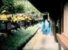 Svatyně Kasuga - ochoz s lucernami