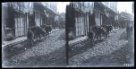 Dvojsnímek. Pohled na tradiční patrovou zástavbu města - ulicí prochází chlapec v tradičním oděvu, který táhne za sebou dva osly s nákladem zboží