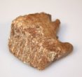 Zub mamuta - fragment