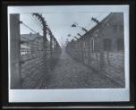 Fotografie, z koncentračního tábora Osvětim