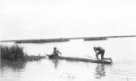 Dva muži ve člunu blízko břehu, Šilukové
