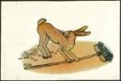 Ilustrace - Zajíc a sovy
