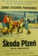 Zápas I. ligy ledního hokeje. Škoda Plzeň - Tesla Pardubice