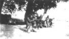 Řada klečících mužů pod stromem připravena ke střelbě z luku.