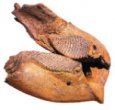 Spodní čelist mamuta (Mummuthus primigenius) včetně obou stoliček