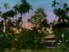 Venkovský dům pod palmami