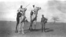 Dva jezdci na velbloudech, u nich stojí účastník Machulkovy výpravy (možnásám H.Bernatzik)