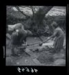 Ženy vymáchaná přadena lnu ždímající na lávu pomocí dvou hůlek zasunutých do přaden