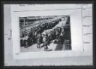 Fotografie, selekce na rampě v Osvětimi-Březince