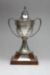 Stříbrný pohár z fotbalového mistrovství světa v Chile 1962