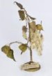 Topol kanadský - větev s plody a listy